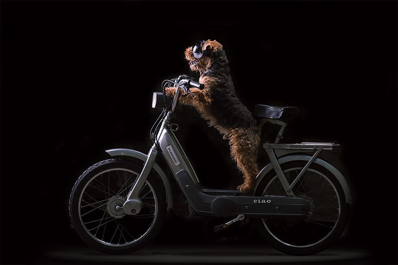 Biker by Jernej Lasič