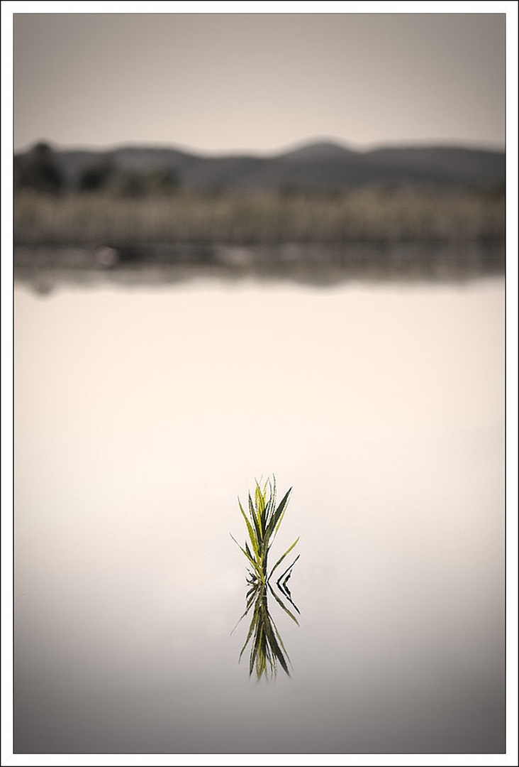 Minimalizem cerkniškega jezera by Jernej Lasič
