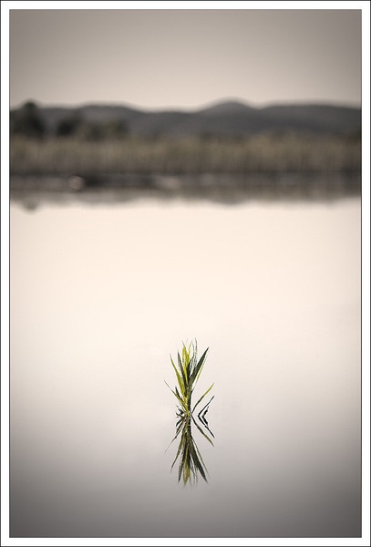 Minimalizem cerkniškega jezera by Jernej Lasič