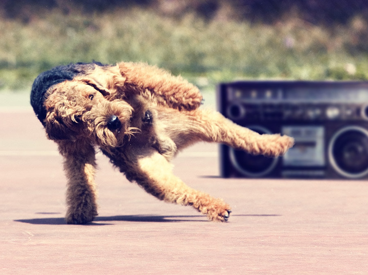 Breakdance by Jernej Lasič