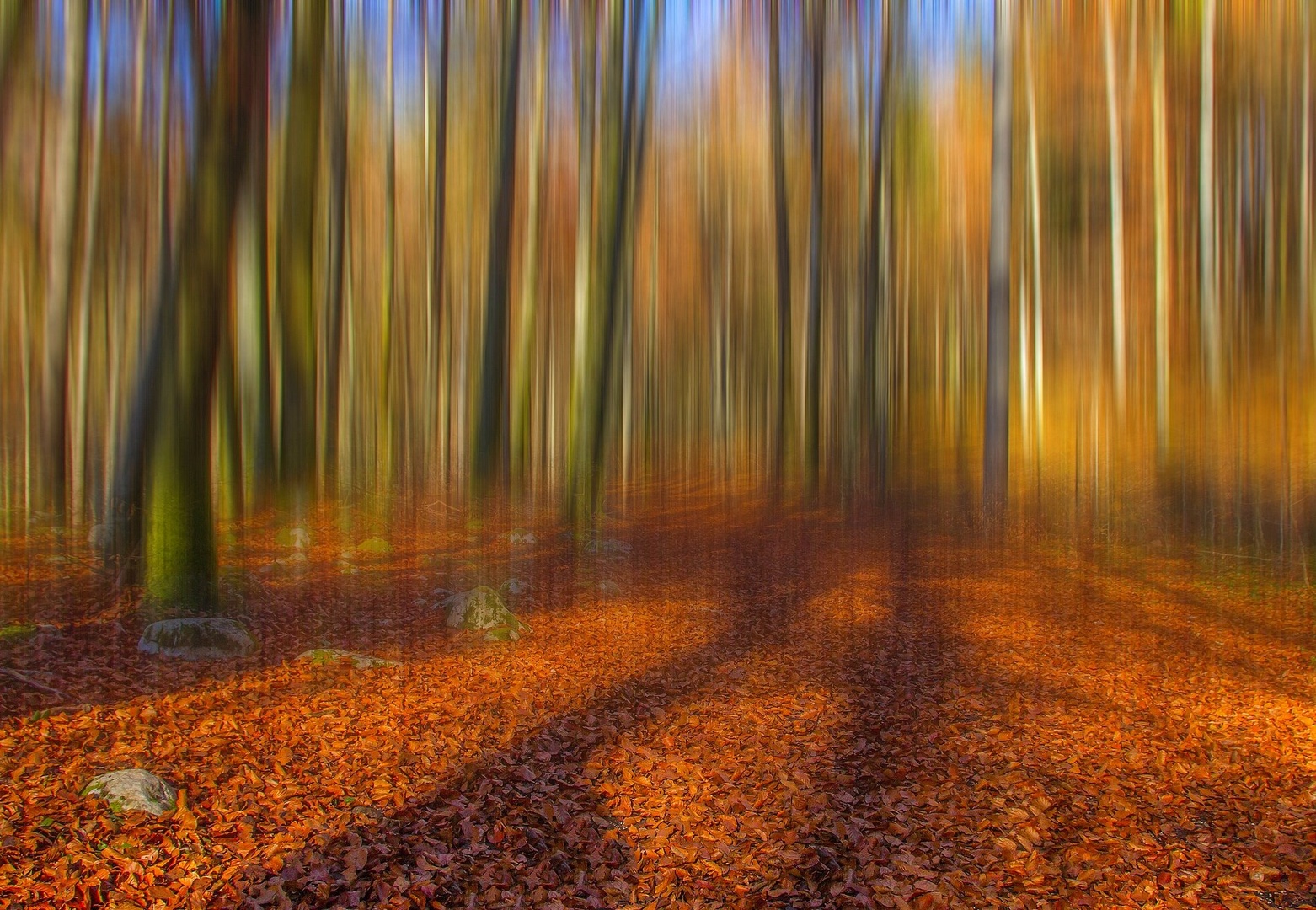 Rdeča preproga! by joze bur