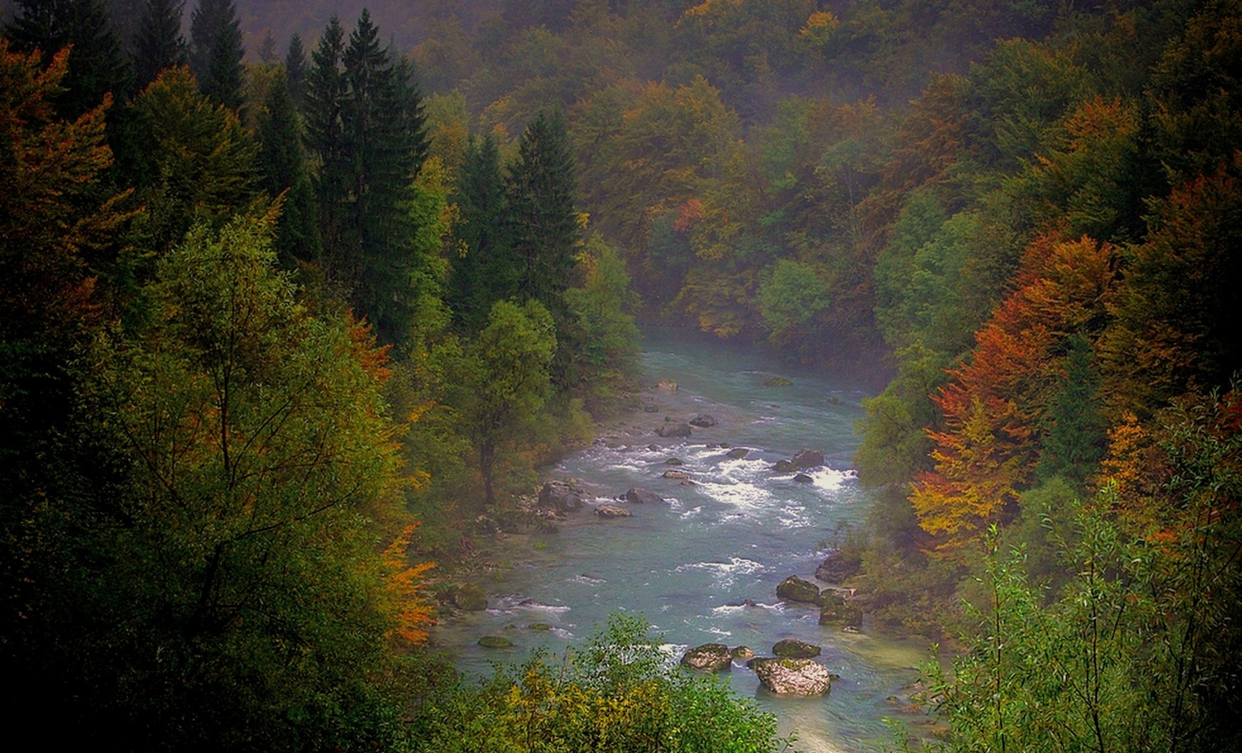 Ob Savi! by joze bur