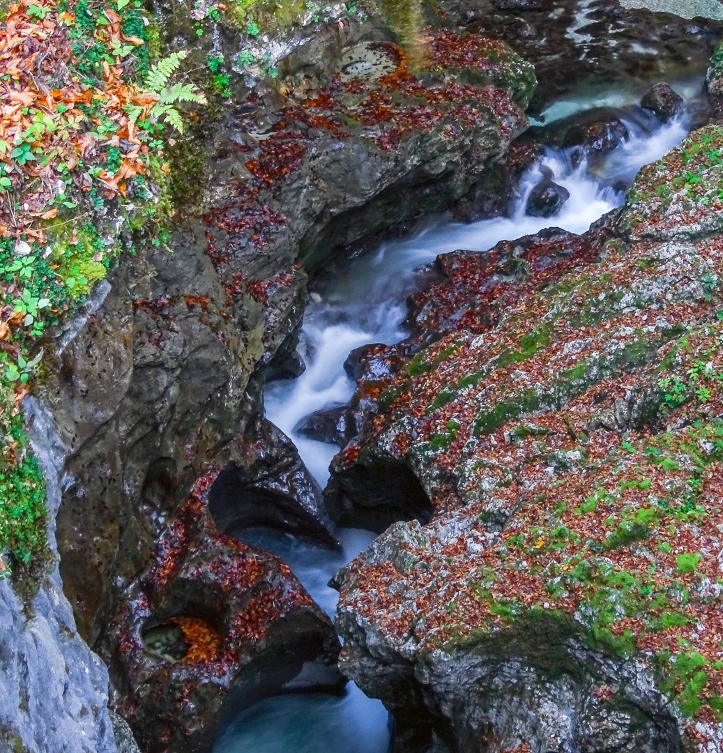 Srček by joze bur