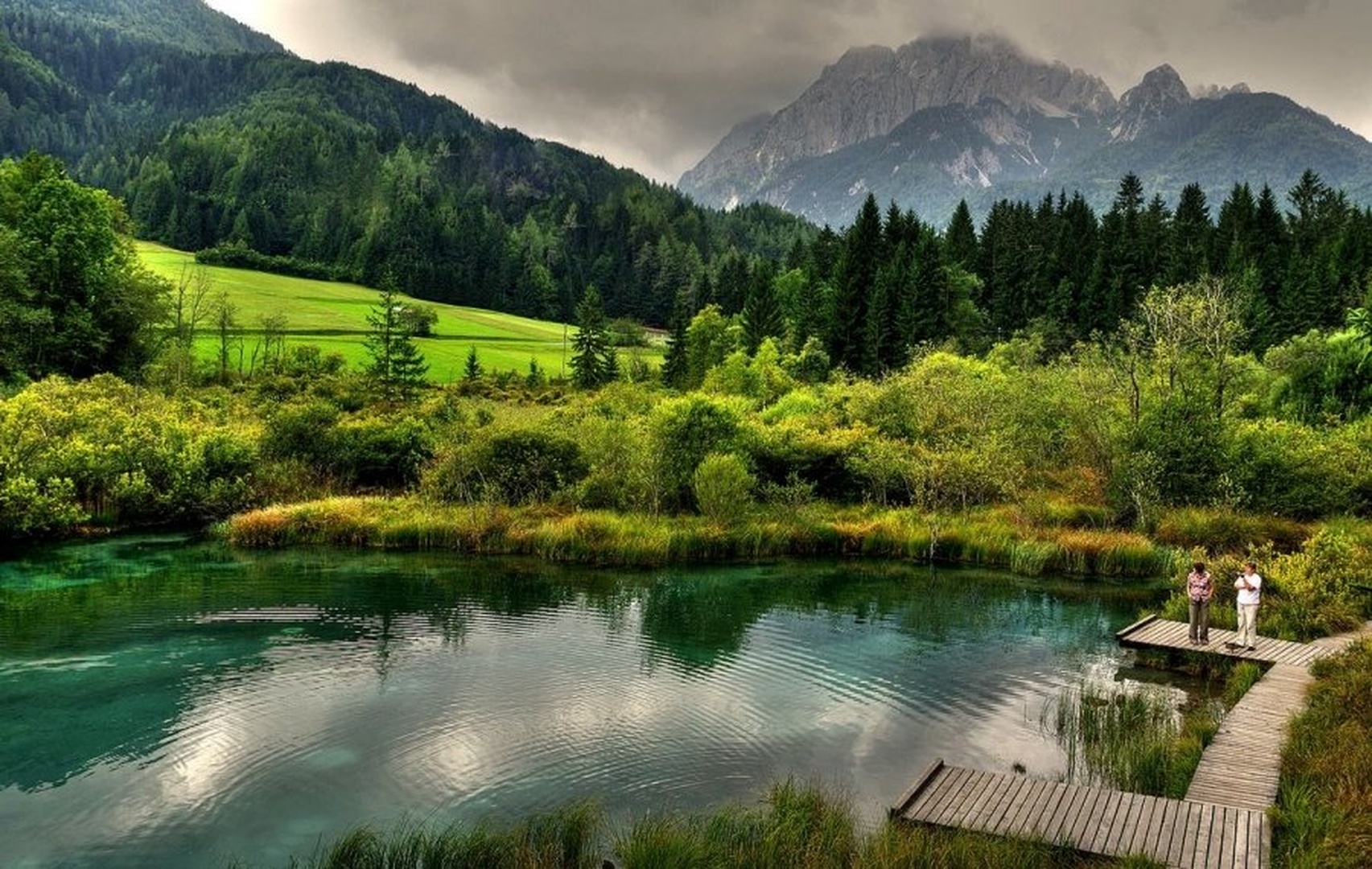 Zelenci by joze bur