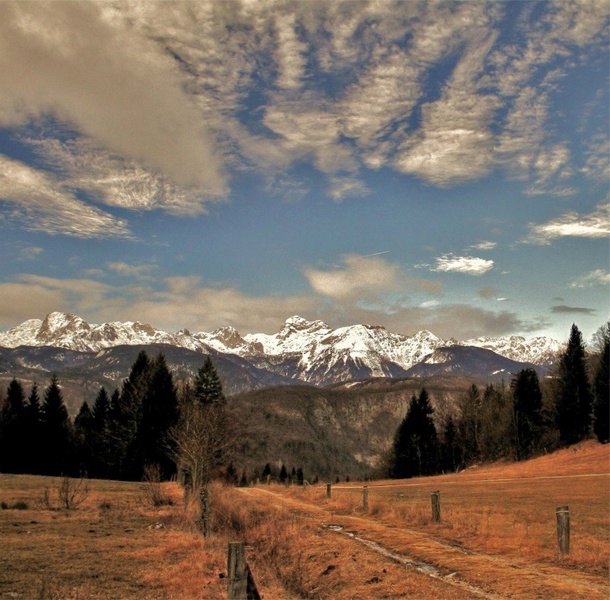 Iz Dobrave by joze bur