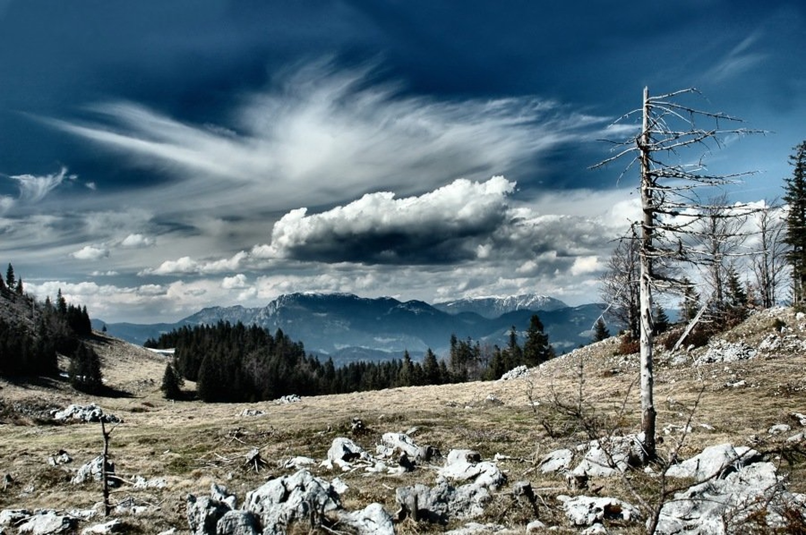 Shot from Menina planina by