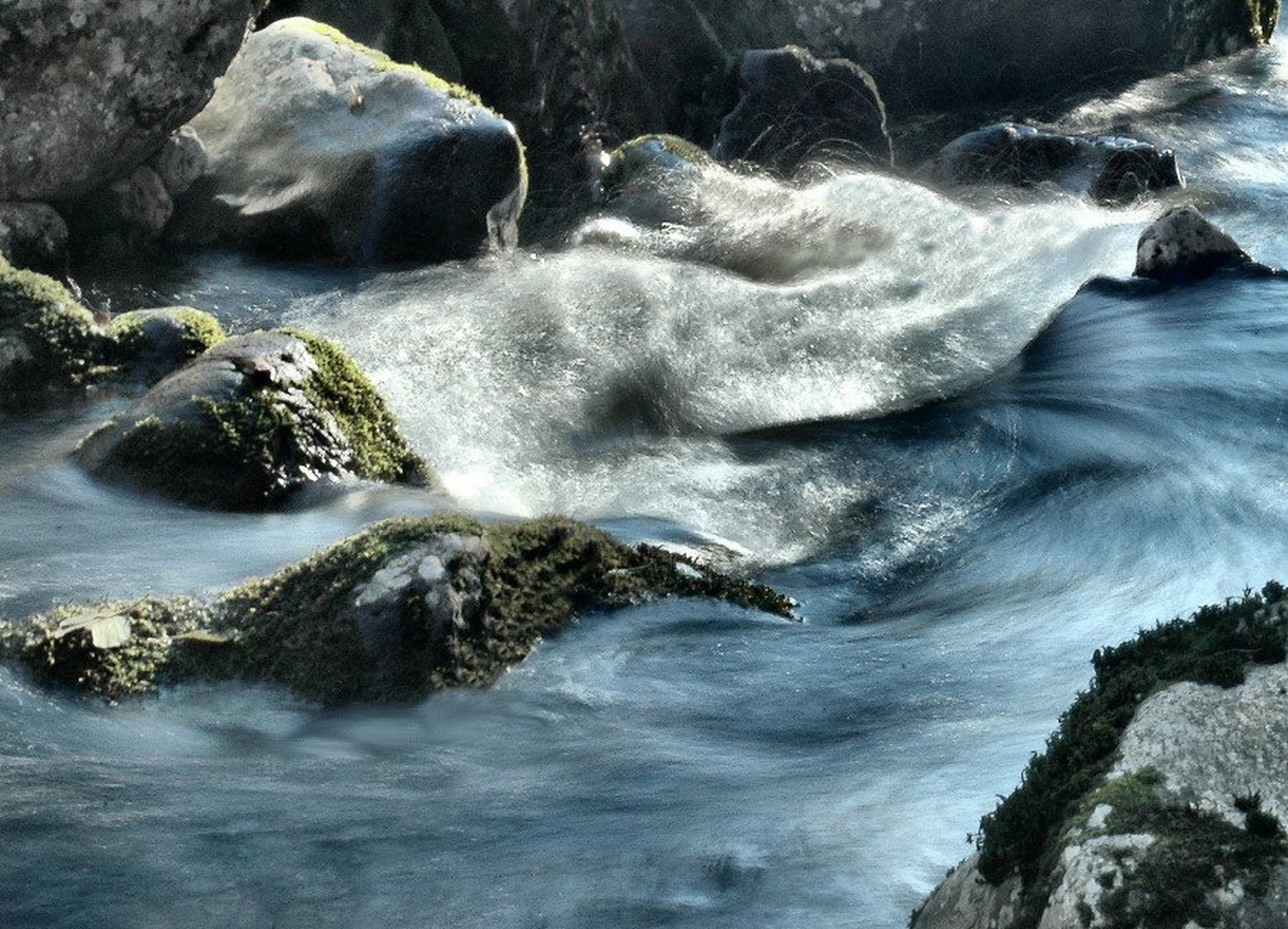 Vortex by