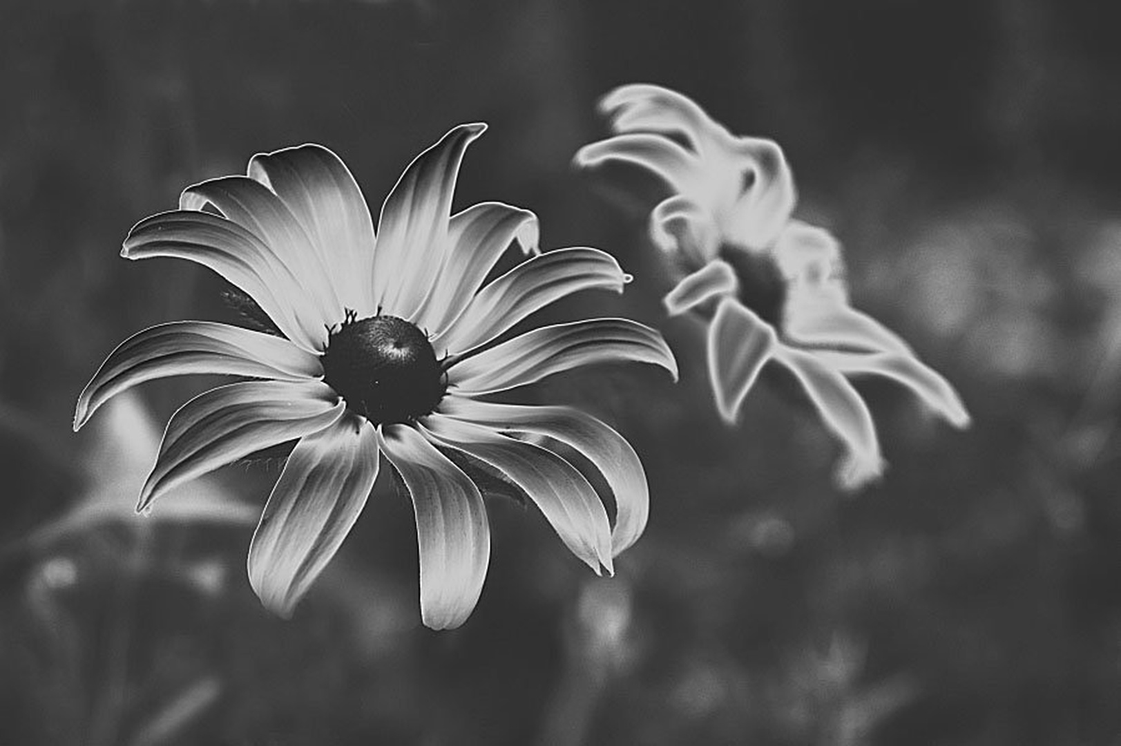 *** by