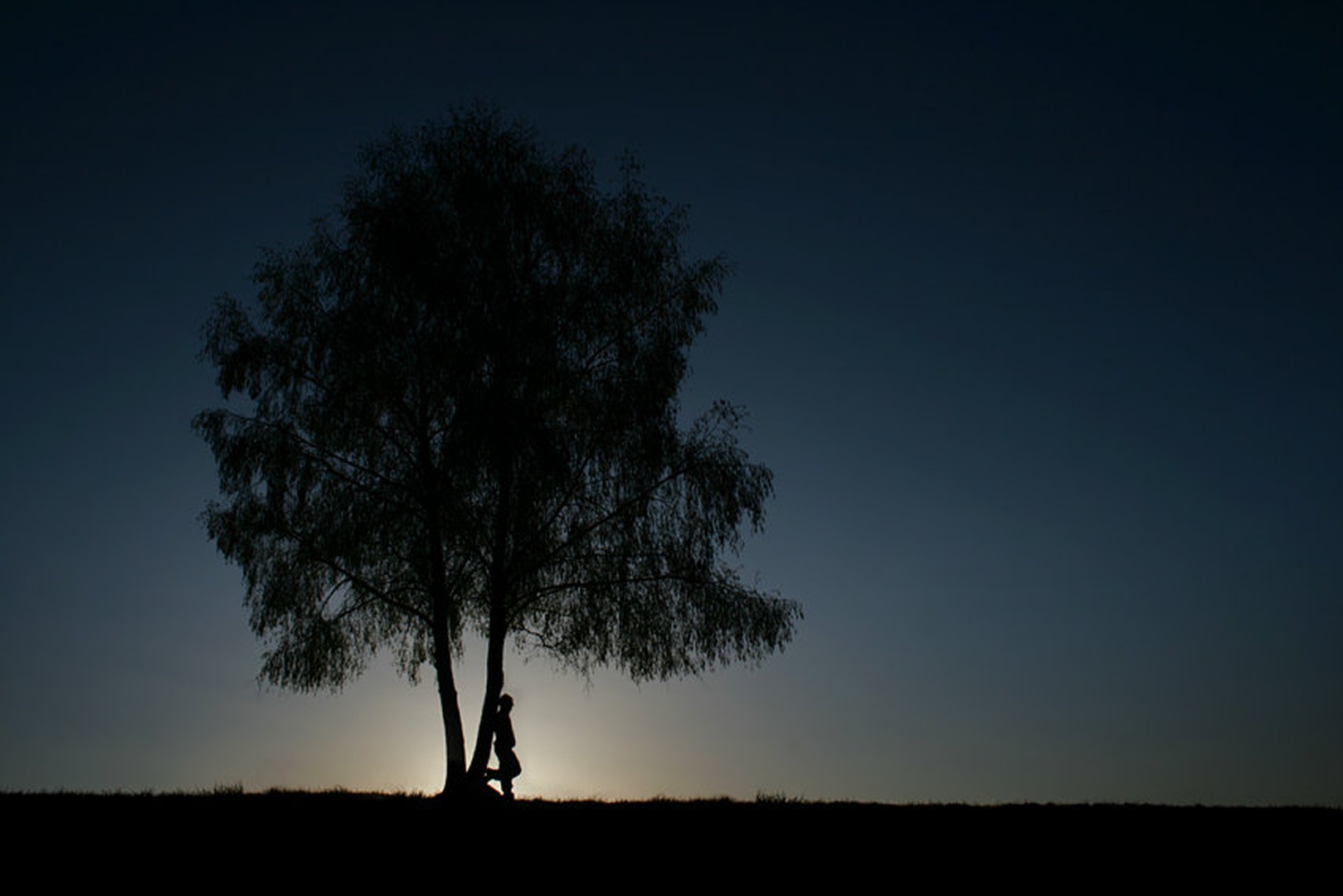 Sun friend by Matej Golob