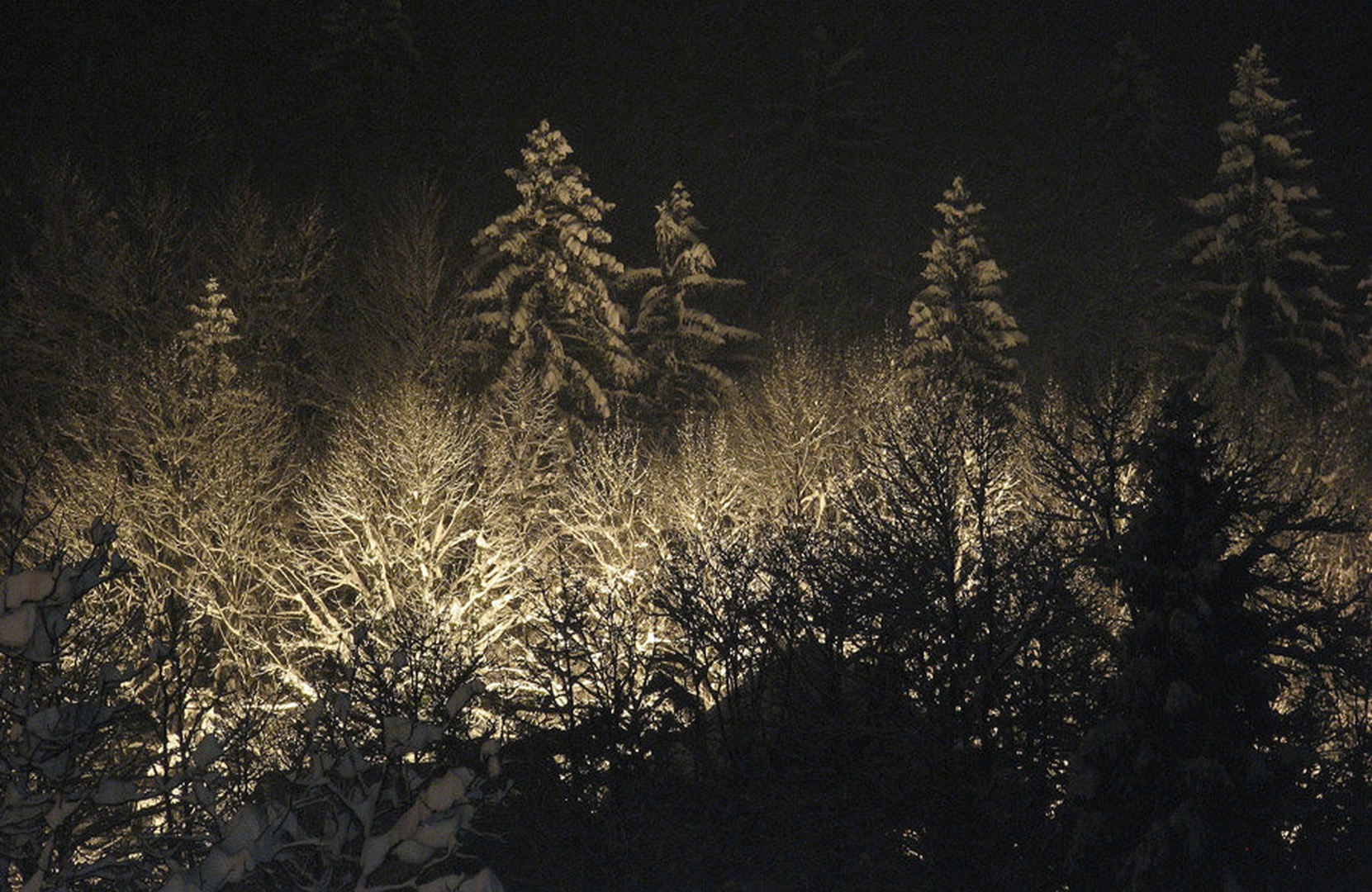 Skrivnostna luč by Jernej Zupančič