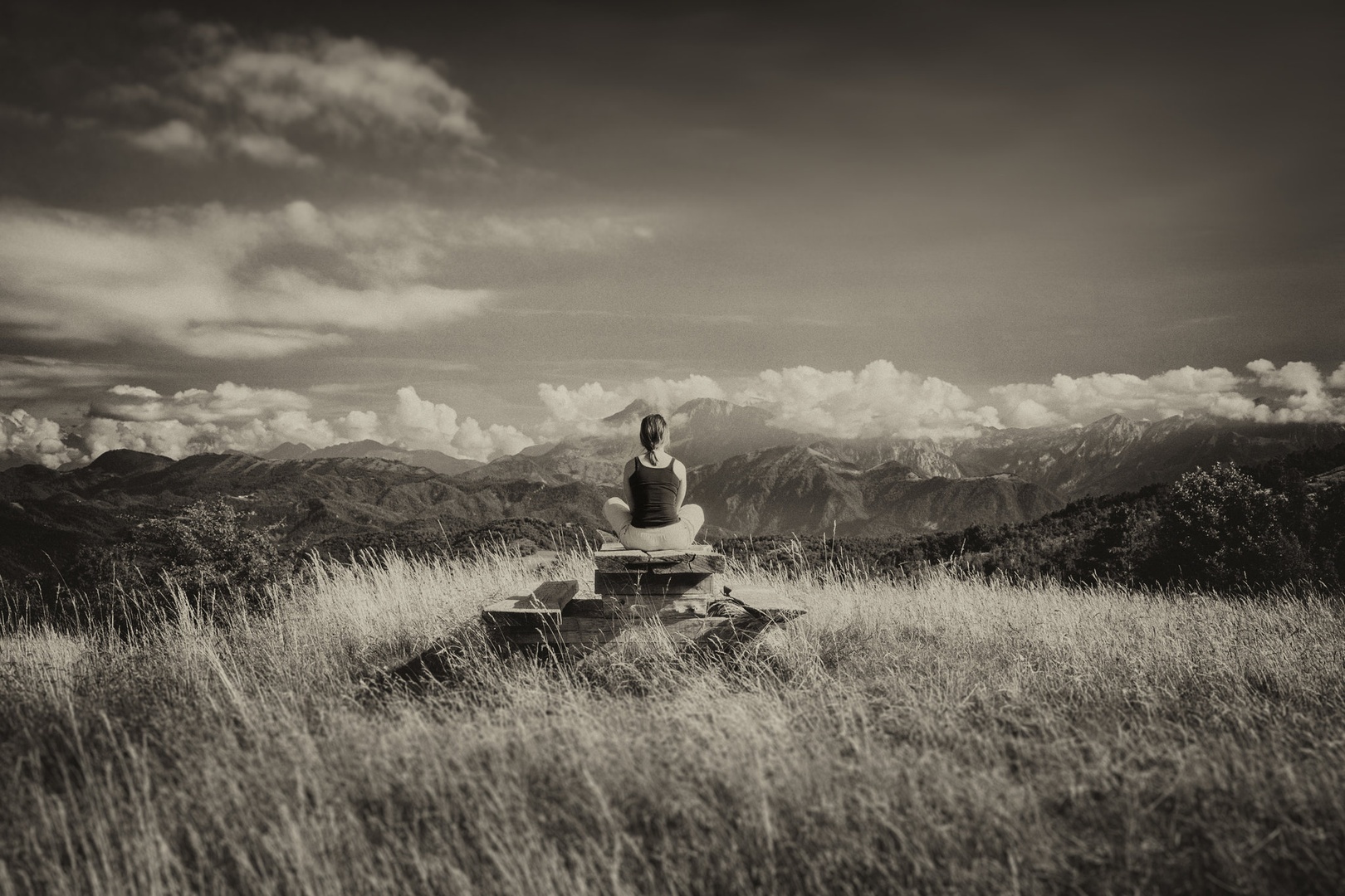 Zen by miha brinovec