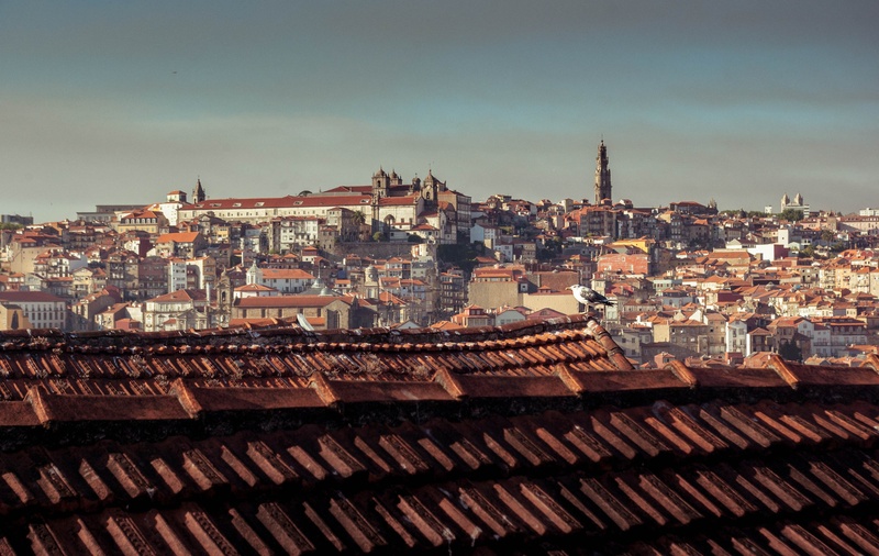 Taylor's Port Wine, Porto by Matej Strašek