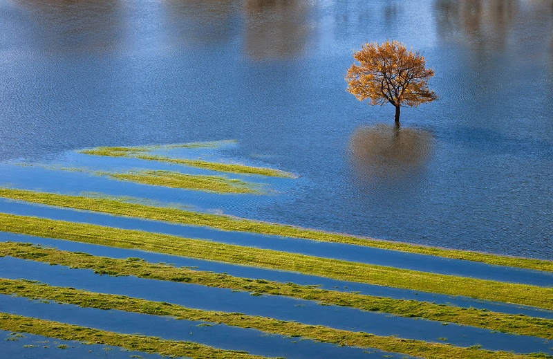 Survivor by Aleš Komovec