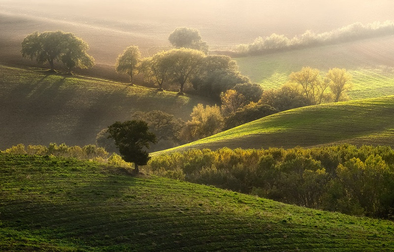 Svetlobi nasproti by Aleš Komovec