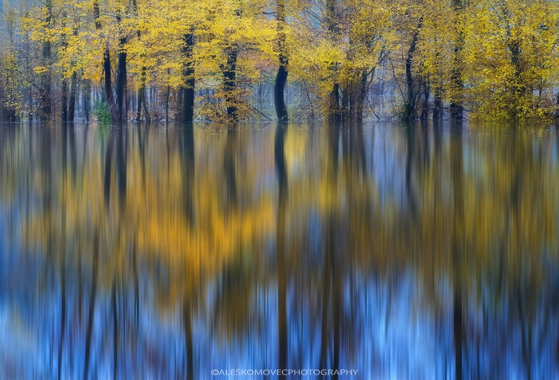 Yellow reflection by Aleš Komovec