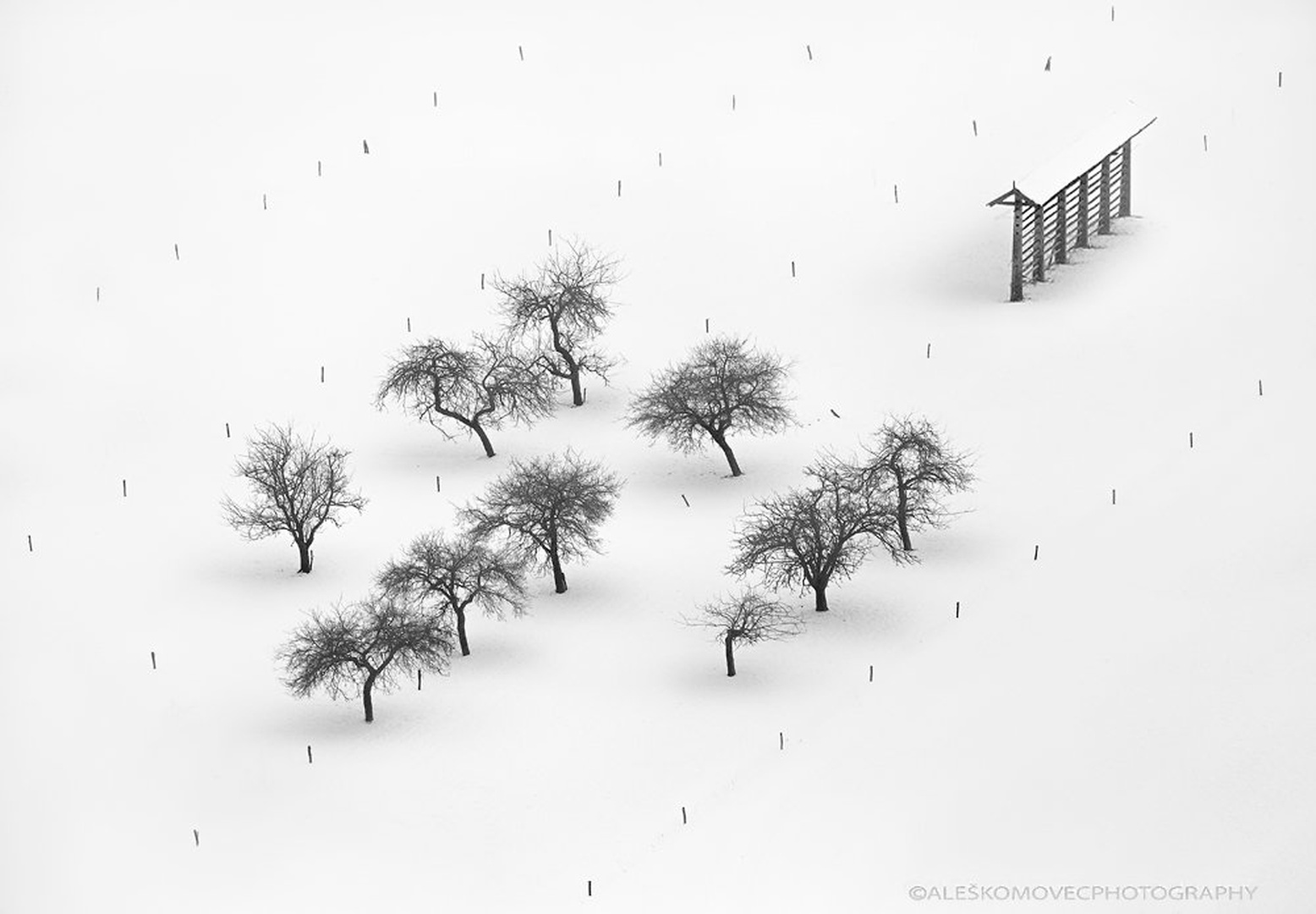 Winter lines by Aleš Komovec