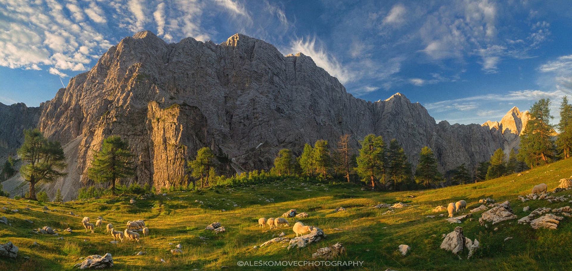 jutranja paša pod Mojstrovko by Aleš Komovec