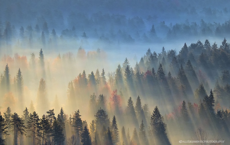 Morning giants by Aleš Komovec