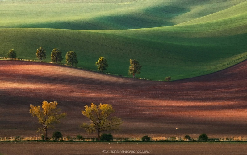 Ko se zbudiš... by Aleš Komovec