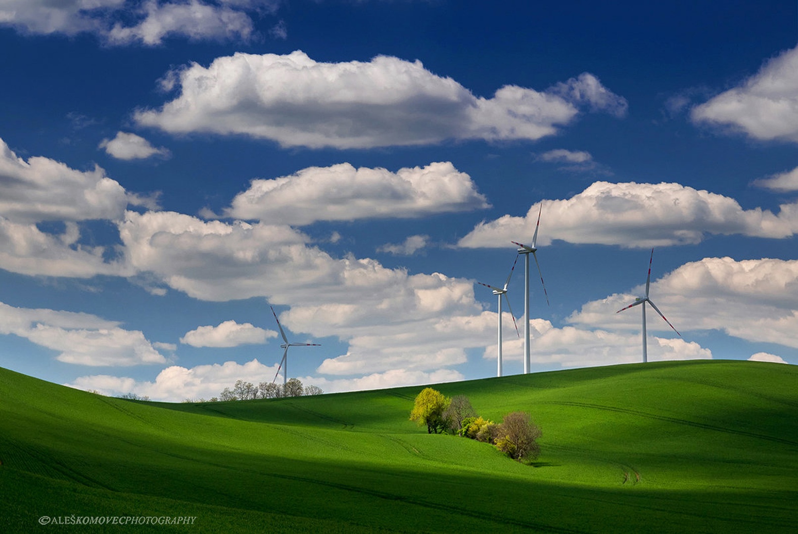 Green Power by Aleš Komovec