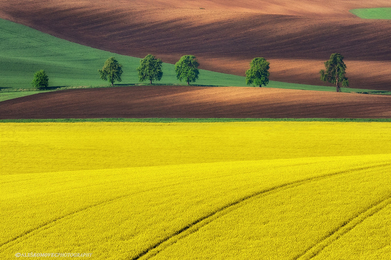 Yellow by Aleš Komovec