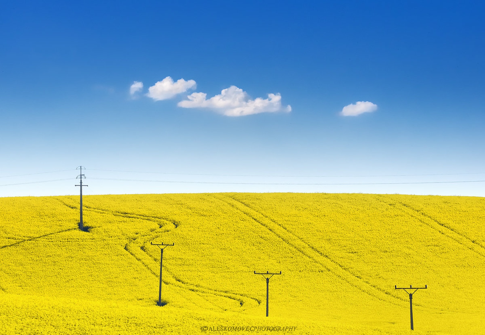 Yellow II. by Aleš Komovec