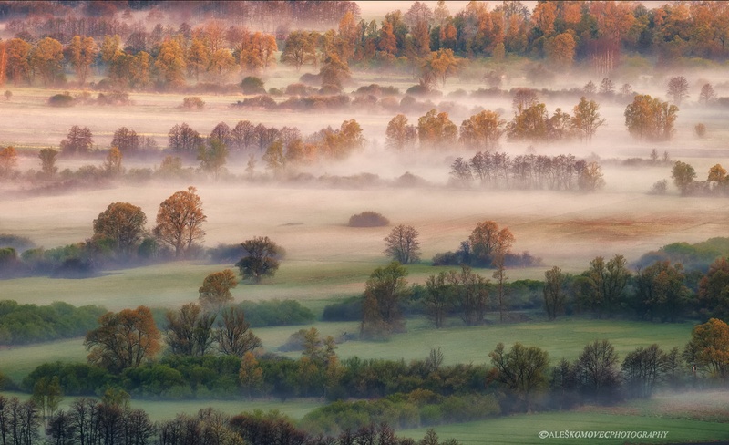 Barjanske meglice by Aleš Komovec