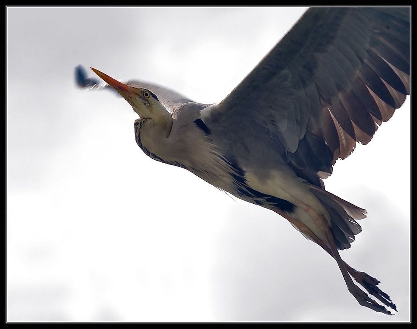 Flyby. by Aleš Komovec
