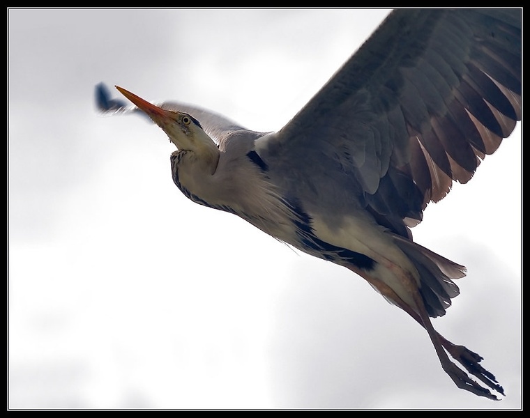 Flyby. by Aleš Komovec