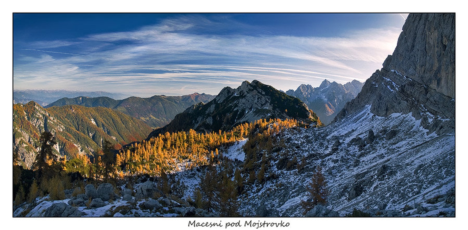Macesni pod Mojstrovko by Aleš Komovec