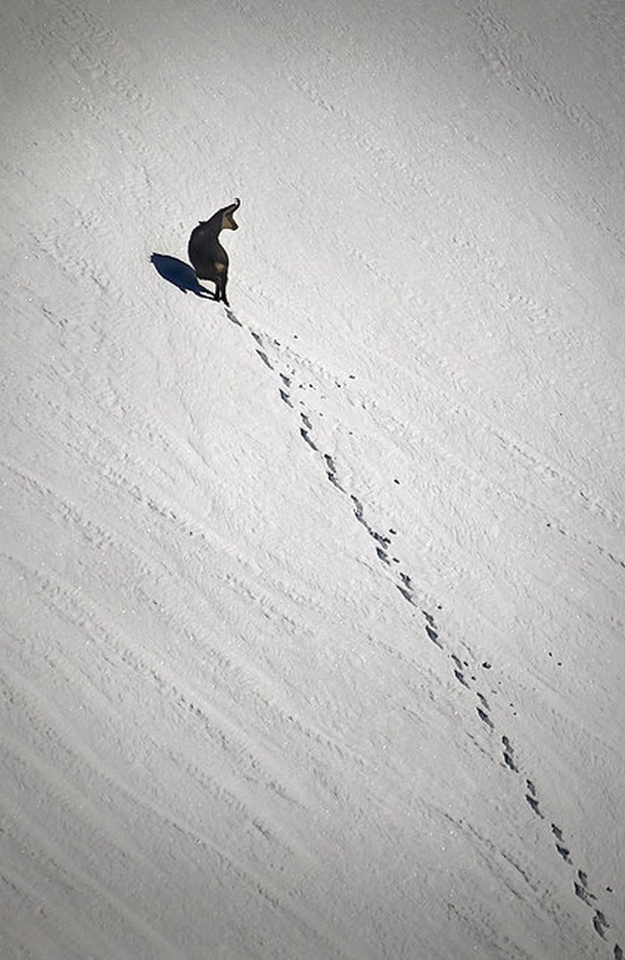 ....... by Aleš Komovec