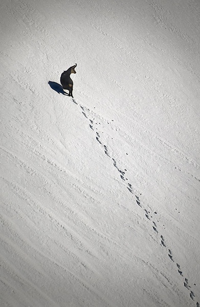 ....... by Aleš Komovec