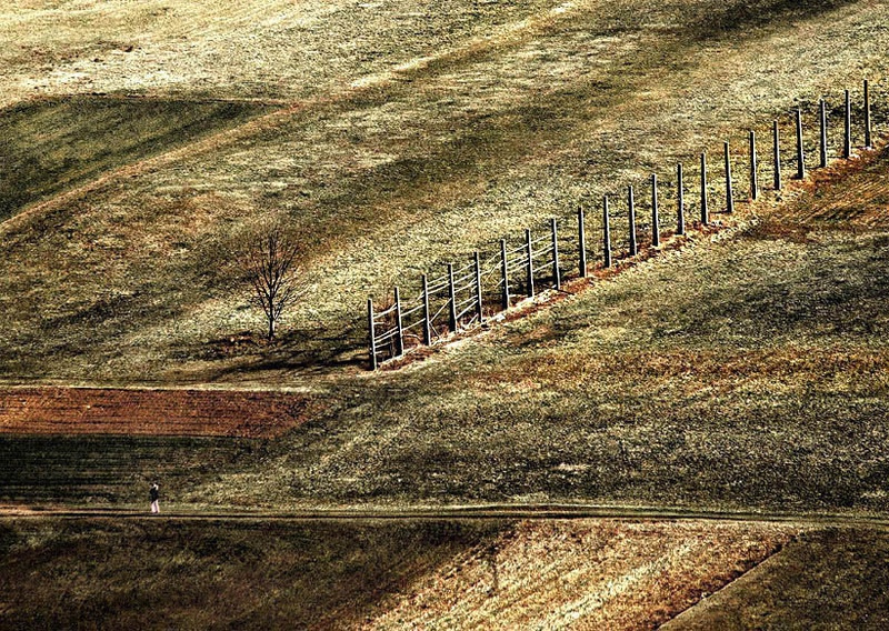Springfields III. by Aleš Komovec