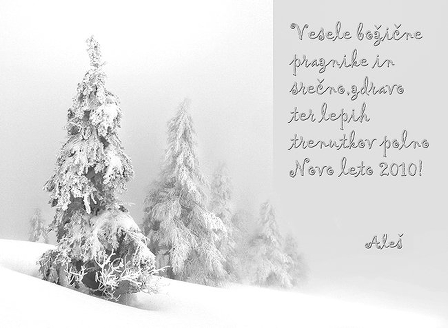 Lepe praznike! by Aleš Komovec