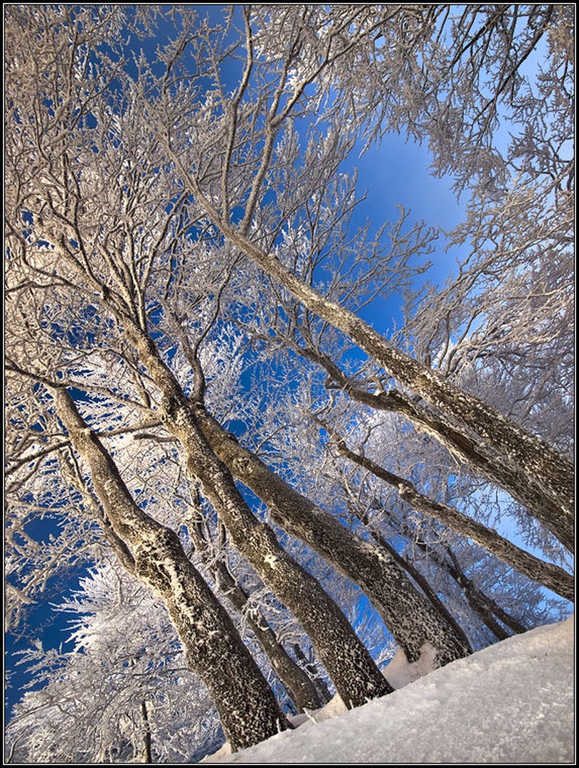 Med meglo in nebom by Aleš Komovec