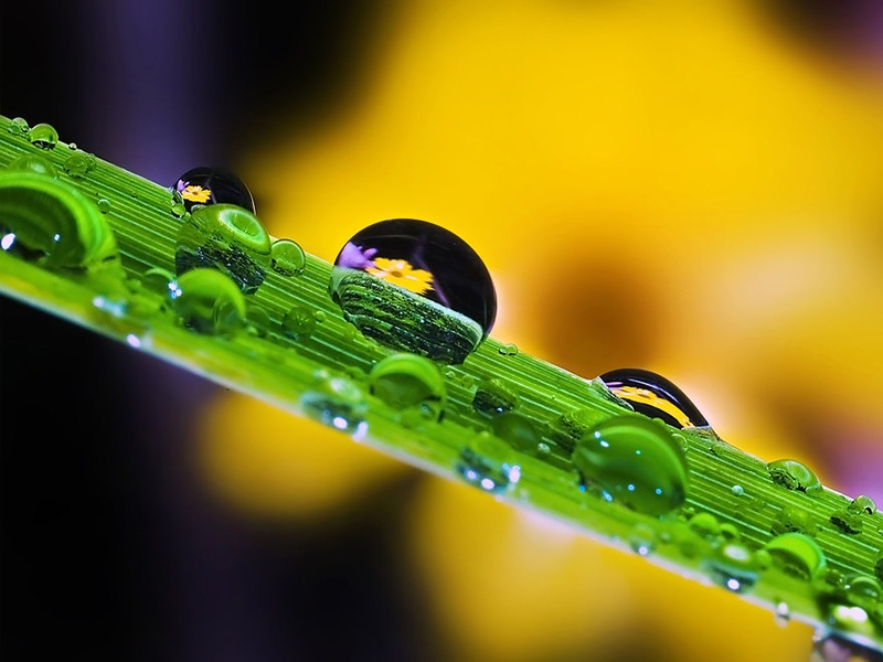 Flowerdropsbridge III. by Aleš Komovec