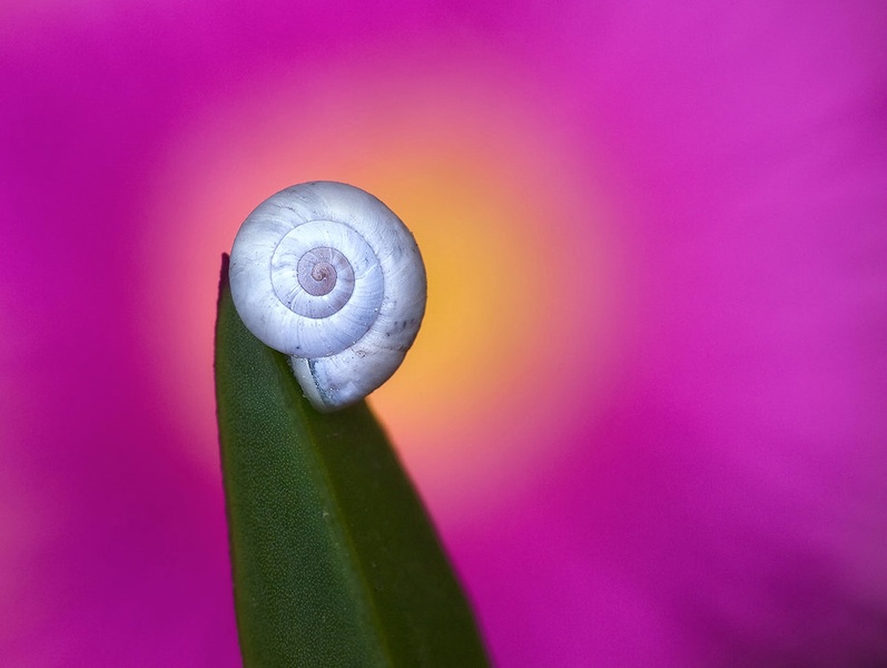 White spiral by Aleš Komovec