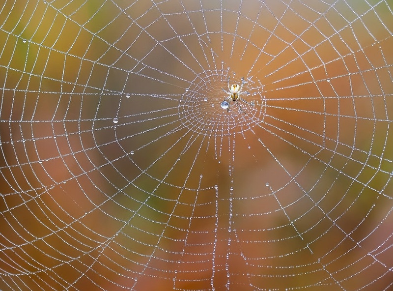 Geometrija narave by Aleš Komovec