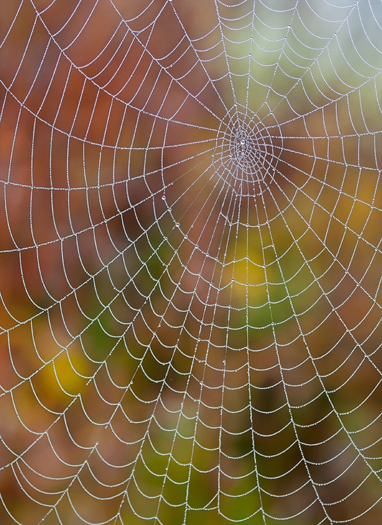 Geometrija narave II. by Aleš Komovec