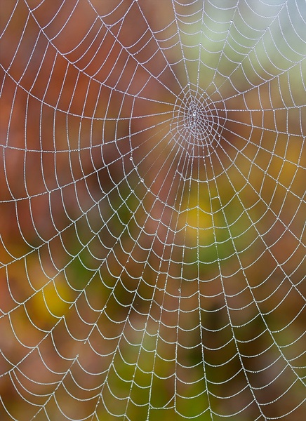 Geometrija narave II. by Aleš Komovec