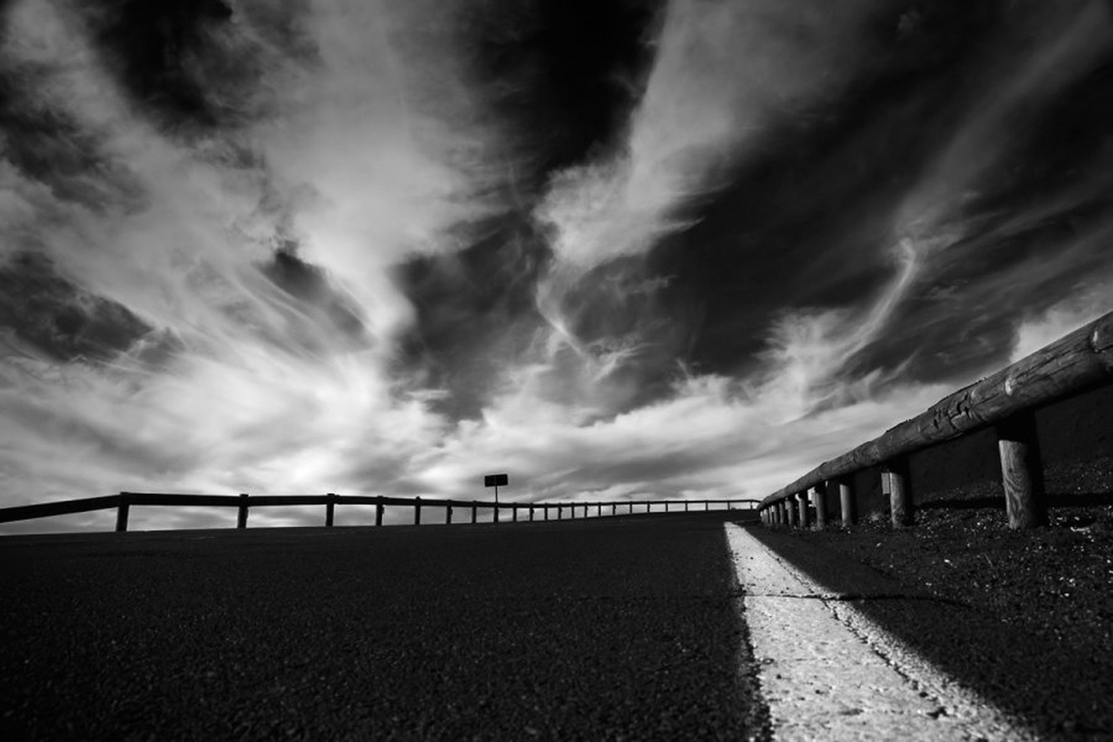 Roadkill by lux zidane