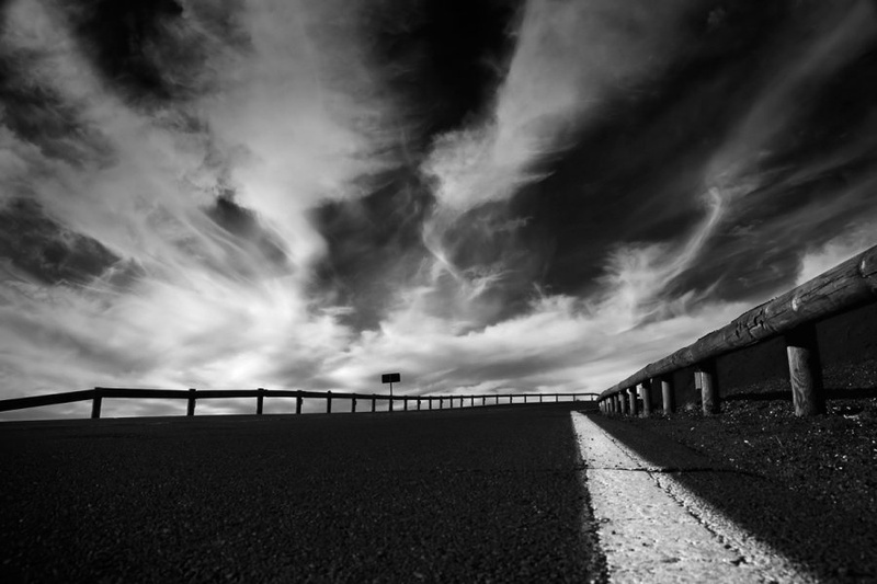 Roadkill by lux zidane