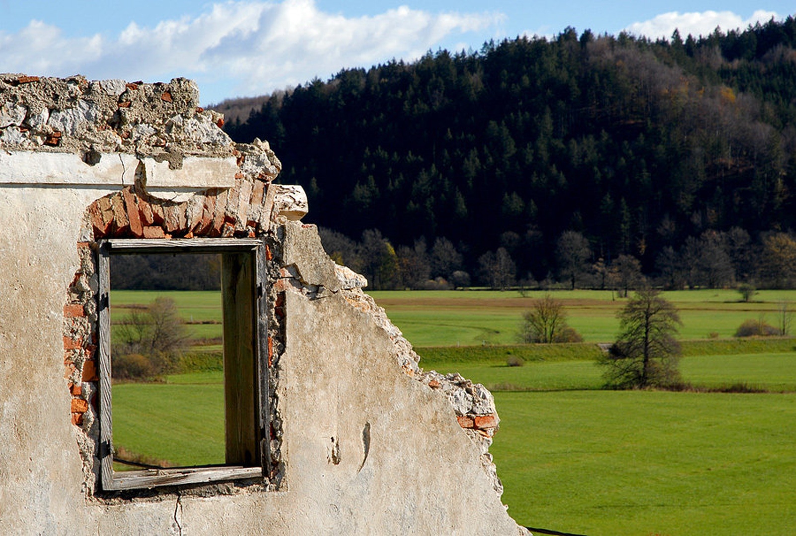Windows Vista by iz m