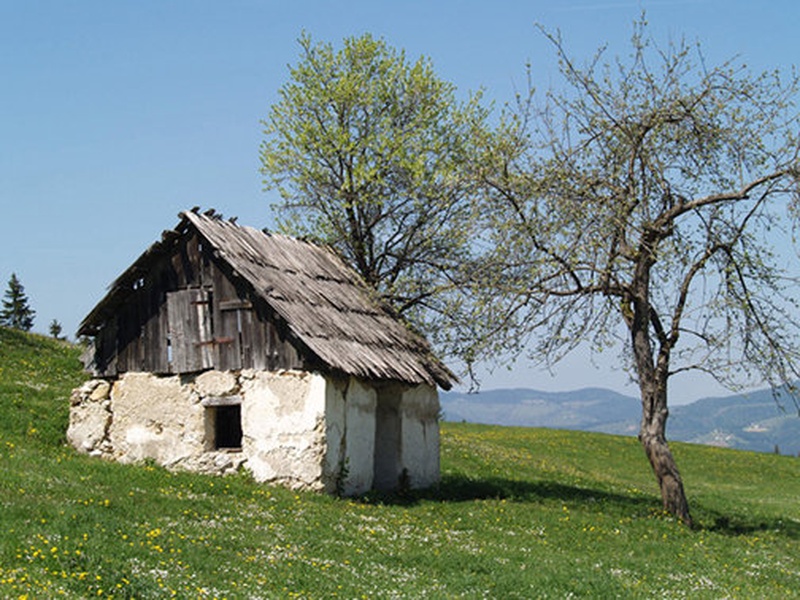 osamljena by erjavec boštjan