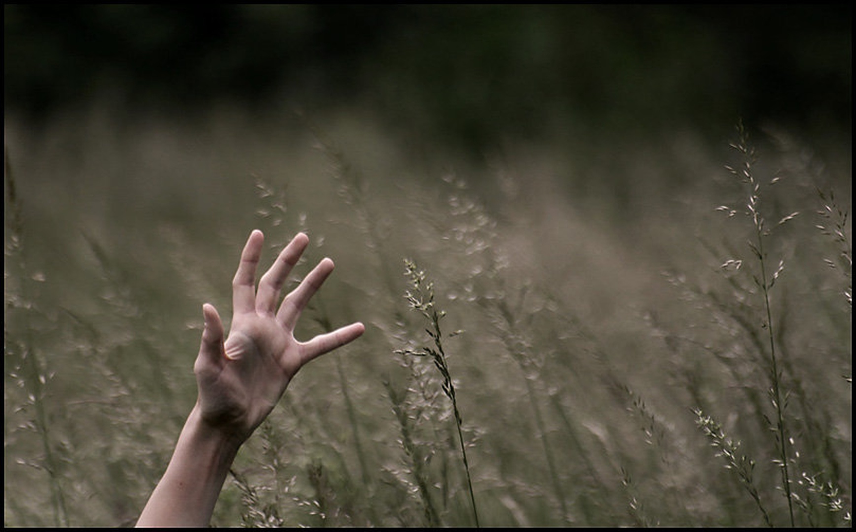 Let me out by Matej Slabe