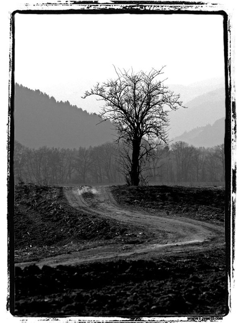 Konec Poti by