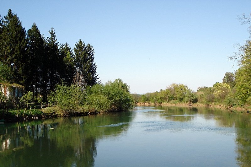 Kostanjevica by pung