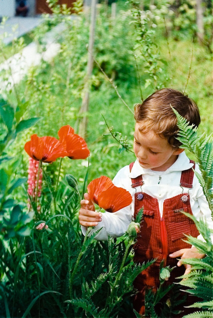 Cvet mladosti... by