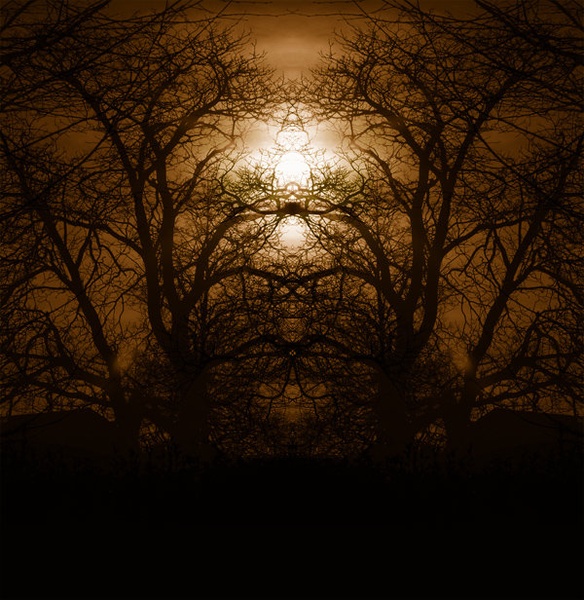 Can you see? by Jure Brložnik