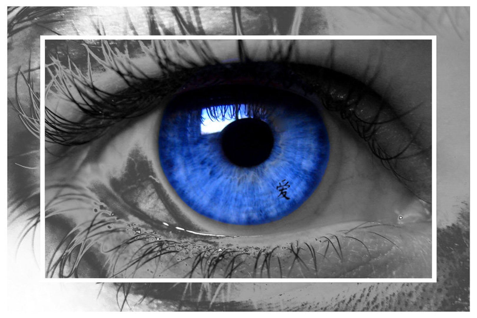 The Eye by Glad Damjan